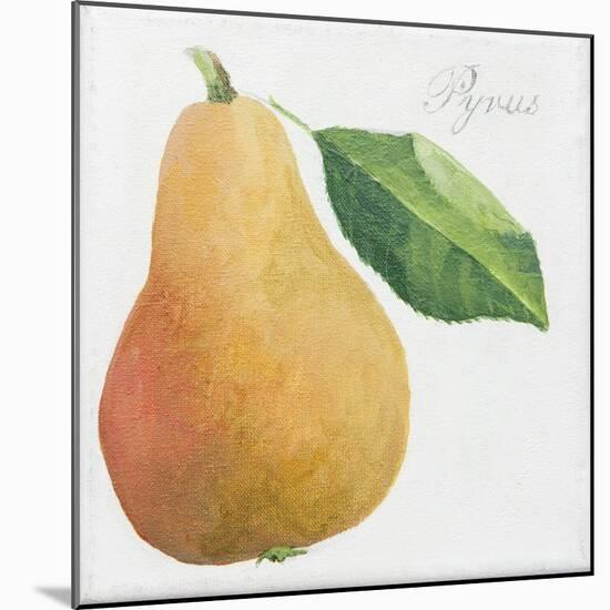 Pyrus, pear-Jennifer Abbott-Mounted Giclee Print