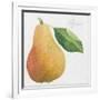 Pyrus, pear-Jennifer Abbott-Framed Giclee Print