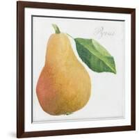 Pyrus, pear-Jennifer Abbott-Framed Giclee Print
