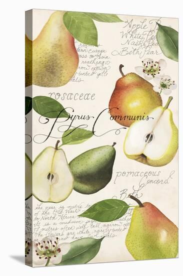 Pyrus Study I-Grace Popp-Stretched Canvas