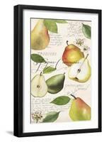 Pyrus Study I-Grace Popp-Framed Art Print