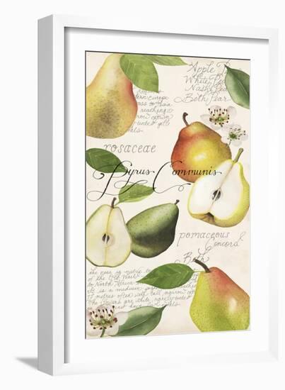 Pyrus Study I-Grace Popp-Framed Art Print