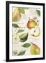 Pyrus Study I-Grace Popp-Framed Art Print