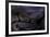 Python Regius F. Melanistic (Royal Python, Ball Python)-Paul Starosta-Framed Photographic Print