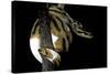 Python Regius F. Piebald (Royal Python, Ball Python)-Paul Starosta-Stretched Canvas