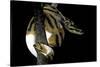 Python Regius F. Piebald (Royal Python, Ball Python)-Paul Starosta-Stretched Canvas