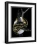 Python Regius F. Piebald (Royal Python, Ball Python)-Paul Starosta-Framed Photographic Print