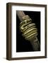 Python Regius F. Super Tiger (Royal Python, Ball Python)-Paul Starosta-Framed Photographic Print