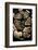 Python Regius (Royal Python, Ball Python)-Paul Starosta-Framed Photographic Print