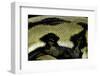 Python Reticulatus F.Tiger (Reticulated Python) - Scales-Paul Starosta-Framed Photographic Print