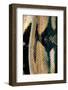 Python Reticulatus (Reticulated Python) - Scales-Paul Starosta-Framed Photographic Print