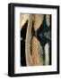 Python Reticulatus (Reticulated Python) - Scales-Paul Starosta-Framed Photographic Print