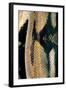 Python Reticulatus (Reticulated Python) - Scales-Paul Starosta-Framed Photographic Print