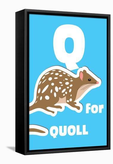 Q For The Quoll, An Animal Alphabet For The Kids-Elizabeta Lexa-Framed Stretched Canvas
