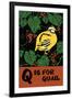 Q is for Quail-Charles Buckles Falls-Framed Art Print