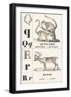 Q R: Quincajou — Renne, 1850 (Engraving)-Louis Simon (1810-1870) Lassalle-Framed Giclee Print