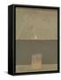 Framed Canvas