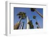 Qatar, Doha, Doha Bay, West Bay Skyscrapers from the Corniche, Morning-Walter Bibikow-Framed Photographic Print