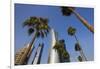 Qatar, Doha, Doha Bay, West Bay Skyscrapers from the Corniche, Morning-Walter Bibikow-Framed Premium Photographic Print