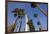 Qatar, Doha, Doha Bay, West Bay Skyscrapers from the Corniche, Morning-Walter Bibikow-Framed Premium Photographic Print