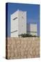 Qatar, Umm Salal Mohammed, 19th Century Barzan Tower and Fort-Walter Bibikow-Stretched Canvas
