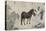 Qazaq présentant len tribut leurs chevaux à l'empereur Qianlong-Giuseppe Castiglione-Stretched Canvas