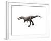 Qianzhousaurus Dinosaur-null-Framed Art Print