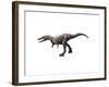 Qianzhousaurus Dinosaur-null-Framed Art Print