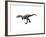 Qianzhousaurus Dinosaur-null-Framed Art Print