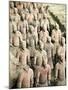 Qin Shi Huang Di Mausoleum with Terracotta Warriors, Xi'An, China-Miva Stock-Mounted Premium Photographic Print