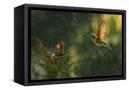 Canvas Black