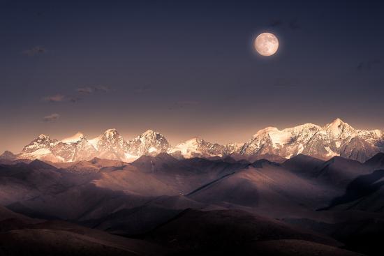 Photographic Print, , large