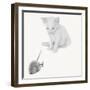 Qu’est-ce que c’est?-Jon Bertelli-Framed Photographic Print