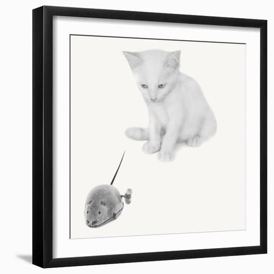 Qu’est-ce que c’est?-Jon Bertelli-Framed Photographic Print