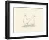 Quack Quack II-Ethan Harper-Framed Art Print