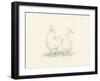 Quack Quack II-Ethan Harper-Framed Art Print