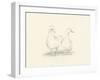 Quack Quack II-Ethan Harper-Framed Art Print