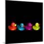 Quackers-Magda Indigo-Mounted Photographic Print