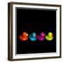 Quackers-Magda Indigo-Framed Photographic Print