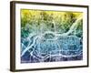 Quad Cities Street Map-Michael Tompsett-Framed Art Print