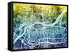 Quad Cities Street Map-Michael Tompsett-Framed Stretched Canvas