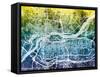 Quad Cities Street Map-Michael Tompsett-Framed Stretched Canvas