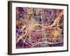 Quad Cities Street Map-Michael Tompsett-Framed Art Print