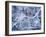 Quad Cities Street Map-Michael Tompsett-Framed Art Print