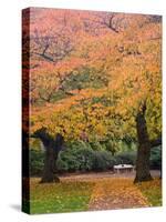 Quad in Autumn, University of Washington, Seattle, Washington, USA-Jamie & Judy Wild-Stretched Canvas