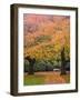 Quad in Autumn, University of Washington, Seattle, Washington, USA-Jamie & Judy Wild-Framed Photographic Print