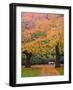 Quad in Autumn, University of Washington, Seattle, Washington, USA-Jamie & Judy Wild-Framed Photographic Print