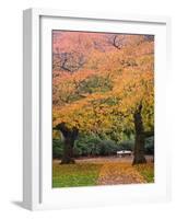 Quad in Autumn, University of Washington, Seattle, Washington, USA-Jamie & Judy Wild-Framed Photographic Print