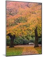 Quad in Autumn, University of Washington, Seattle, Washington, USA-Jamie & Judy Wild-Mounted Photographic Print
