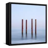 Quadra-Doug Chinnery-Framed Stretched Canvas